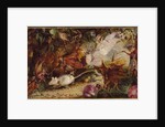 The Chase of the White Mouse by John Anster Fitzgerald