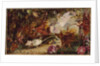 The Chase of the White Mouse by John Anster Fitzgerald