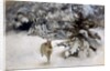 A Hare in the Snow, 1927 by Bruno Andreas Liljefors