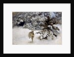 A Hare in the Snow, 1927 by Bruno Andreas Liljefors