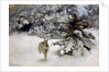 A Hare in the Snow, 1927 by Bruno Andreas Liljefors