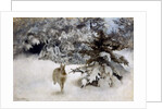 A Hare in the Snow, 1927 by Bruno Andreas Liljefors