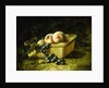 Peaches and Grapes by Carducius Plantagenet Ream