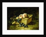 Peaches and Grapes by Carducius Plantagenet Ream