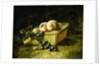Peaches and Grapes by Carducius Plantagenet Ream