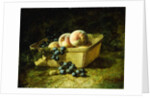 Peaches and Grapes by Carducius Plantagenet Ream