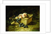 Peaches and Grapes by Carducius Plantagenet Ream