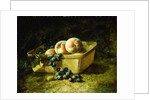 Peaches and Grapes by Carducius Plantagenet Ream