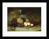 Bountiful Still Life, 1855 by Hugh Newell