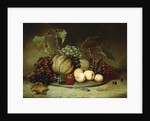 Bountiful Still Life, 1855 by Hugh Newell