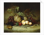 Bountiful Still Life, 1855 by Hugh Newell