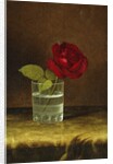 A Red Rose, by Martin Johnson Heade