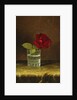 A Red Rose, by Martin Johnson Heade