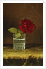 A Red Rose, by Martin Johnson Heade