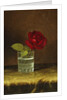 A Red Rose, by Martin Johnson Heade