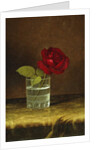 A Red Rose, by Martin Johnson Heade