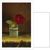 A Red Rose, by Martin Johnson Heade