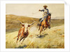 Roping A Steer by Edward Borein
