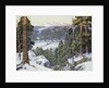 Pines in Winter, by George Gardner Symons