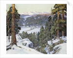 Pines in Winter, by George Gardner Symons
