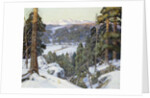 Pines in Winter, by George Gardner Symons