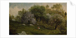 Girl on a Hillside, Apple Blossoms, 1874 by Martin Johnson Heade