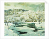 Frosted Trees by Jonas Lie