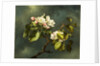 Apple Blossoms by Martin Johnson Heade