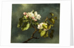 Apple Blossoms by Martin Johnson Heade