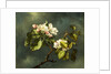 Apple Blossoms by Martin Johnson Heade