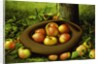 Apples in a Hat by Levi Wells Prentice