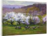 Blossom Time by Edward Henry Potthast