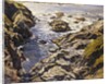 Rocky Coast by Walter Elmer Schofield