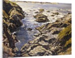 Rocky Coast by Walter Elmer Schofield