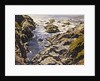 Rocky Coast by Walter Elmer Schofield