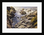 Rocky Coast by Walter Elmer Schofield