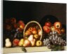 Apples, Pears, Plums and Grapes by Charles Bird King
