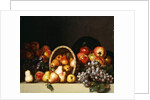Apples, Pears, Plums and Grapes by Charles Bird King