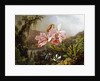 Orchids and Hummingbirds in a Brazilian Jungle, c. 1871-72 by Martin Johnson Heade