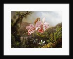 Orchids and Hummingbirds in a Brazilian Jungle, c. 1871-72 by Martin Johnson Heade