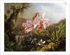 Orchids and Hummingbirds in a Brazilian Jungle, c. 1871-72 by Martin Johnson Heade