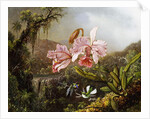 Orchids and Hummingbirds in a Brazilian Jungle, c. 1871-72 by Martin Johnson Heade
