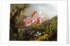 Orchids and Hummingbirds in a Brazilian Jungle, c. 1871-72 by Martin Johnson Heade