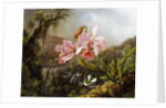 Orchids and Hummingbirds in a Brazilian Jungle, c. 1871-72 by Martin Johnson Heade