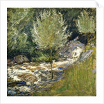 Horseneck Falls, Greenwich, Connecticut by John Henry Twachtman