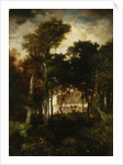 Woods by a River, 1886 by Thomas Moran