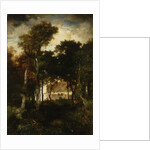 Woods by a River, 1886 by Thomas Moran