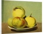Dish of Apples and Quinces by David Johnson