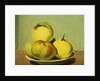 Dish of Apples and Quinces by David Johnson