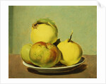 Dish of Apples and Quinces by David Johnson